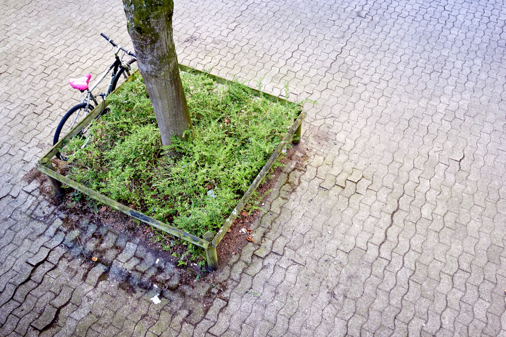Grünfläche und Fahrrad